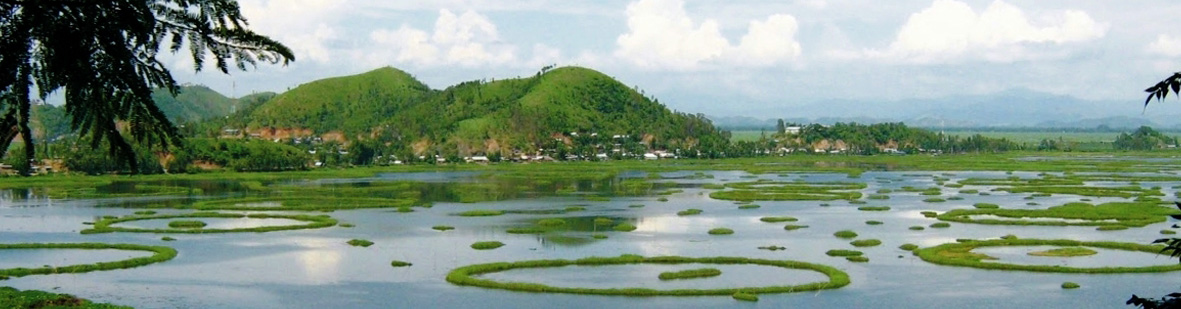 Manipur India